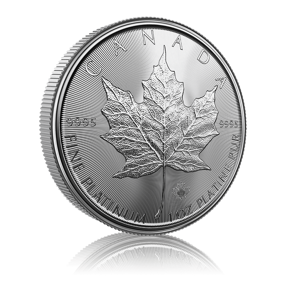 1oz Platinum Maple Leaf (2022) 4